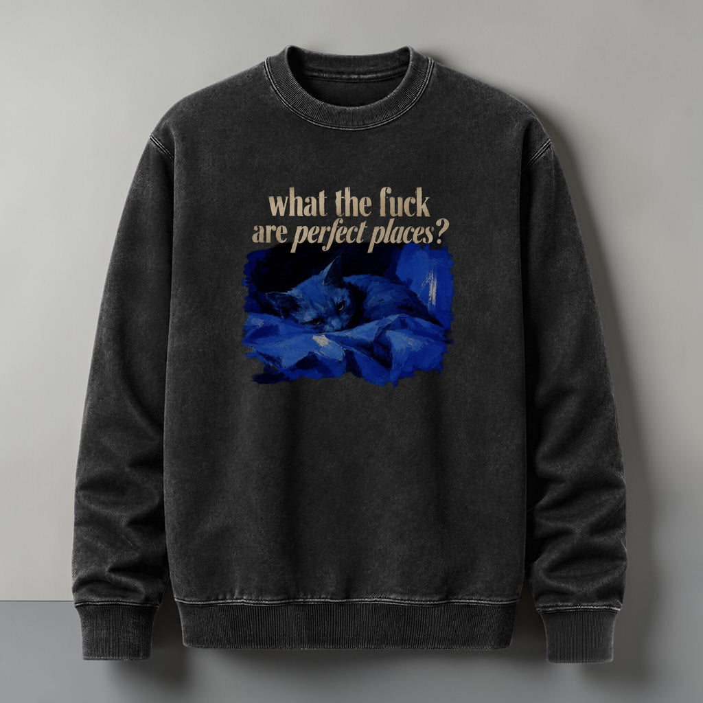 Polerón Polo Acid Wash “What The Fuck Are Perfect Places” - Lorde